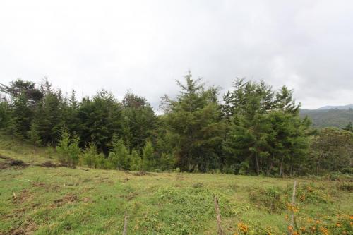 Lote en Guarne vereda la Henea