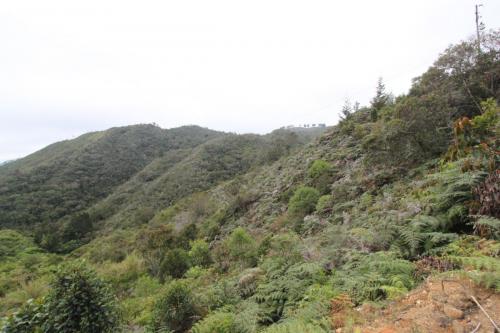 Lote en Guarne Vereda  Guapante