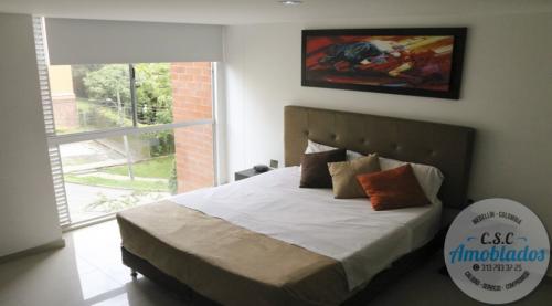 Alquiler de Aparta-estudio Amoblados código. AP84 (La frontera)