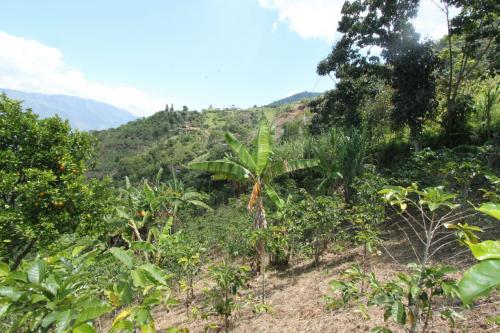 Lote en Girardota vereda Encenillos
