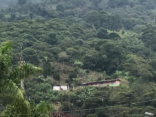 FINCA PARA LA VENTA EN GENOVA, QUINDIO
