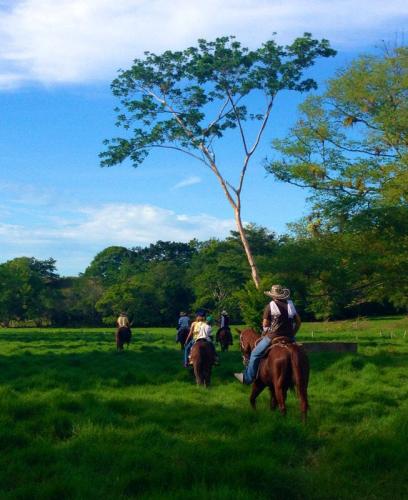 HACIENDA GANADERA  EN LA DORADA, CALDAS