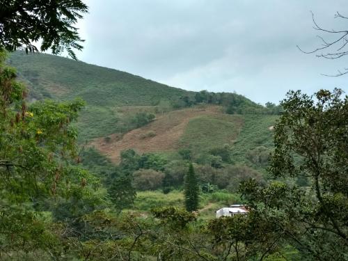 finca Alban c/s desarrollo proyecto agricola, ganeadero,