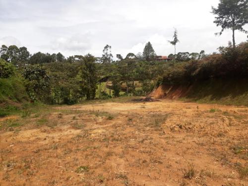 Vendo lote ubicado por los colegios sector ojo de agua a 5 minutos del paquete de Rionegro