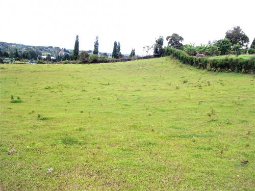 Vendo Lote en Vereda
