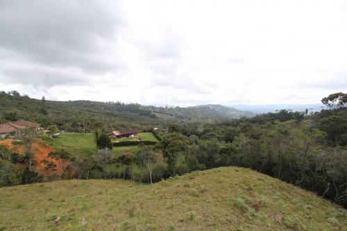 Vendo Lote en la Vereda Alto de la Virgen