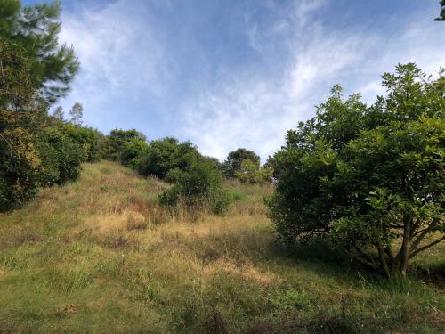 FINCA - CASA DE CAMPO TRADICIONAL. ASI ES TU CASA