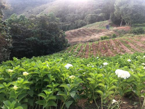 FINCA - CASA DE CAMPO TRADICIONAL. ASI ES TU CASA