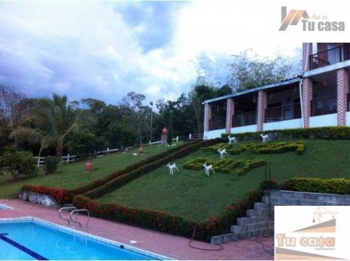 FINCA,TAMESIS,1 HECTAREA. ASI ES TU CASA