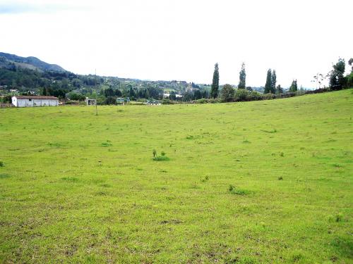 Lote en venta Guarne, Hojas Anchas 