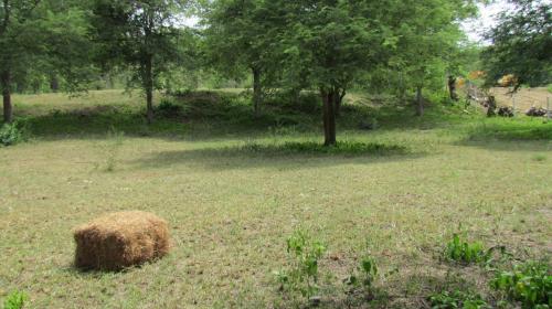 LOTE PLANO 8.511 Ms2 SOPETRAN. ASI ES TU CASA