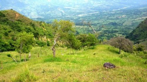 Lote en Fredonia, 6 cuadras