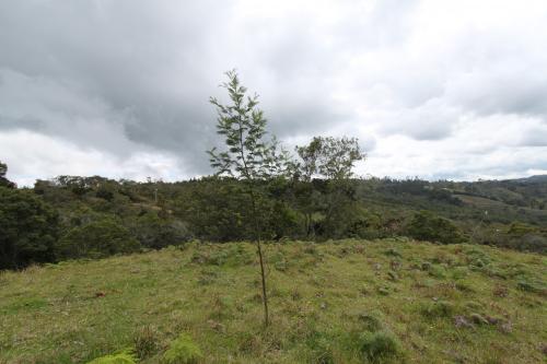 Lote veredal en Guarne, 6 cuadras