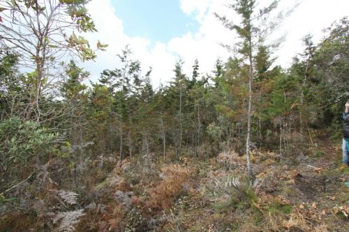 Lote veredal entre Girardota y Guarne