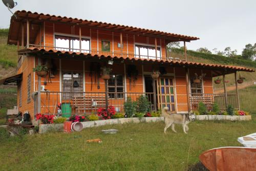 Finca en Guarne vereda Chaparral