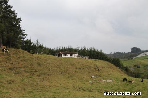 Casa lote en Guarne
