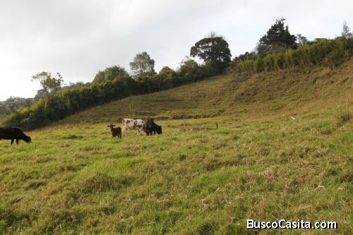 Hermoso lote en Guarne, Guapante