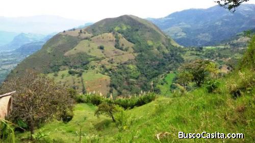 Lote en Fredonia de 6 cuadras