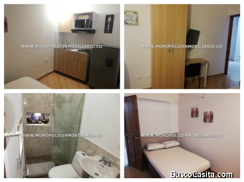 APARTAESTDIOS AMOBLADO EN ALQUILER - SECTOR LAURELES COD-*-)()()()(14919