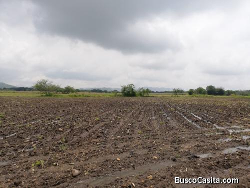 terreno en venta ibagué Tolima Colombia 10000 m2
