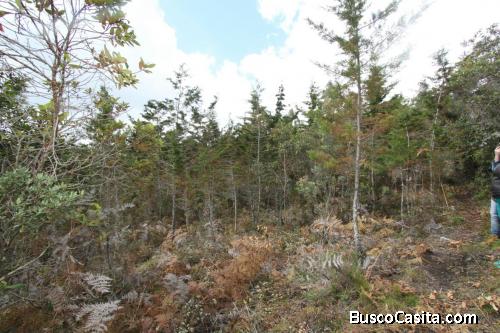Lote entre Girardota y Guarne, 6.400 mts2