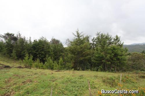 Lote entre Guarne y Girardota, vereda Ovejas