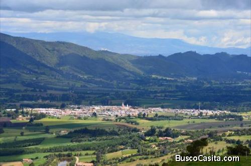 Los lotes ofrecen más de 15 hectáreas de cultivos para agricultura y agricultura