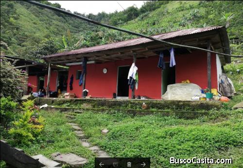 VENTA FINCA VD LOS PLANES TELLO HUILA 