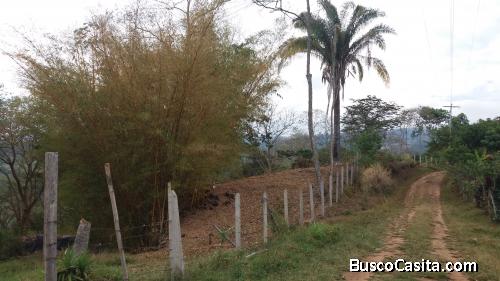 Arbeláez, lote las Mercedes