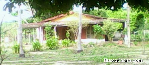 VENTA FINCA