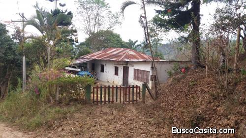 Arbelaez, Finca Guamitos