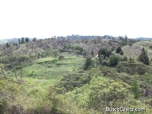 Lote industrial en Guarne 75.200 M²