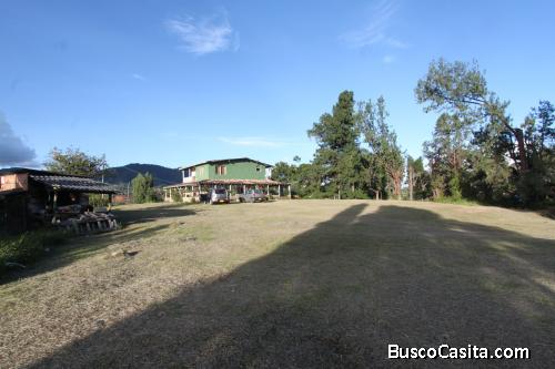 Lote industrial 42.000 M²