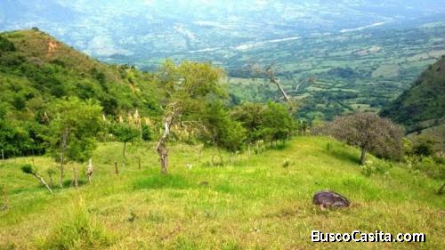 Lote en Fredonia 38.400 M²