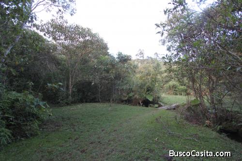 Lote en Girardota 25.600 M², vereda el Palmar 