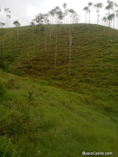  Finca en San Carlos Antioquia