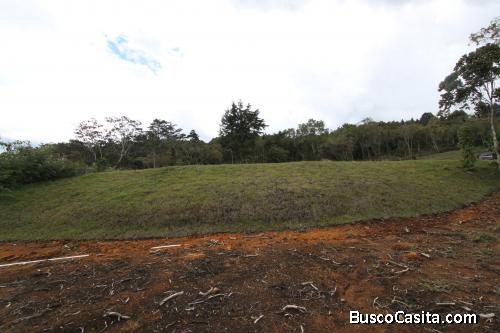 Lote en Guarne 20.000 M² 
