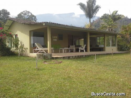  Vendo finca bien ubicada y con Producción anual de Aguacate, Café y otras frutas