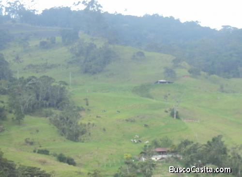 Finca agrícola y ganadera