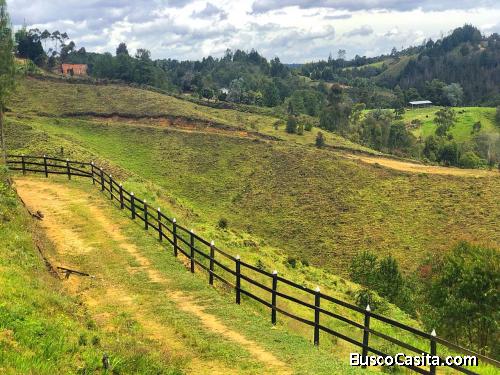 Lote en Guarne, vereda Batea seca 