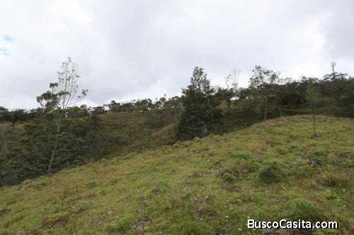 Lote en Guarne 38.400 M²