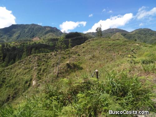 Lote en Barbosa Antioquia