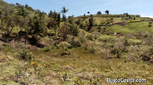 LOTE EN SAN VICENTE FERRER,ANTIOQUIA