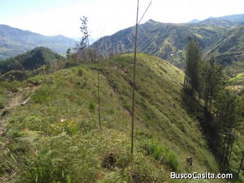 Lote en Barbosa Antioquia