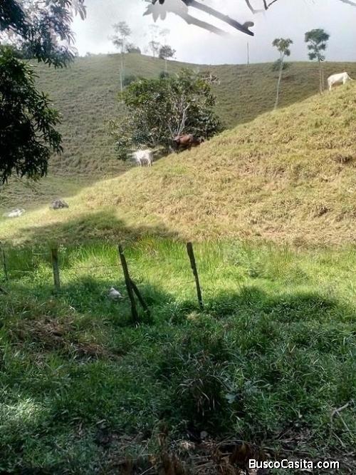  Finca en San Carlos Antioquia