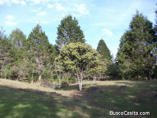Lote en Guarne 51.000 M²