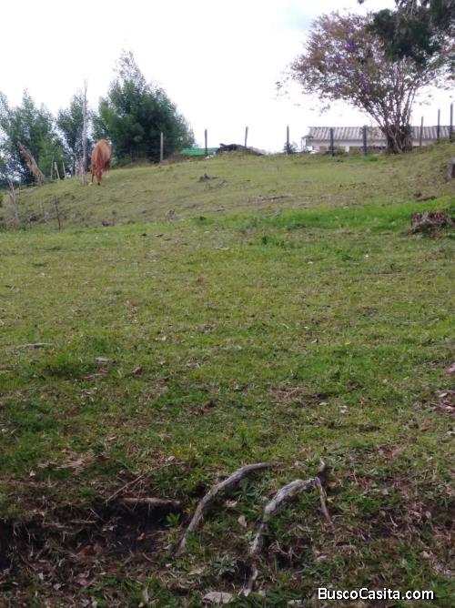 Finca en San Vicente 16.500 M²