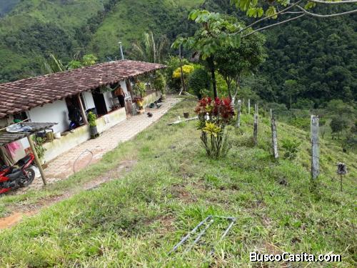 Finca lote entre Cocorná y San Luis