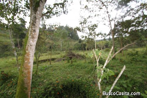 Lote en Guarne, vereda Montañez