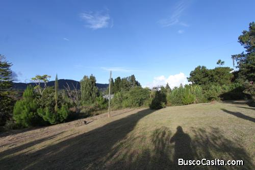 Lote industrial 42.000 M²